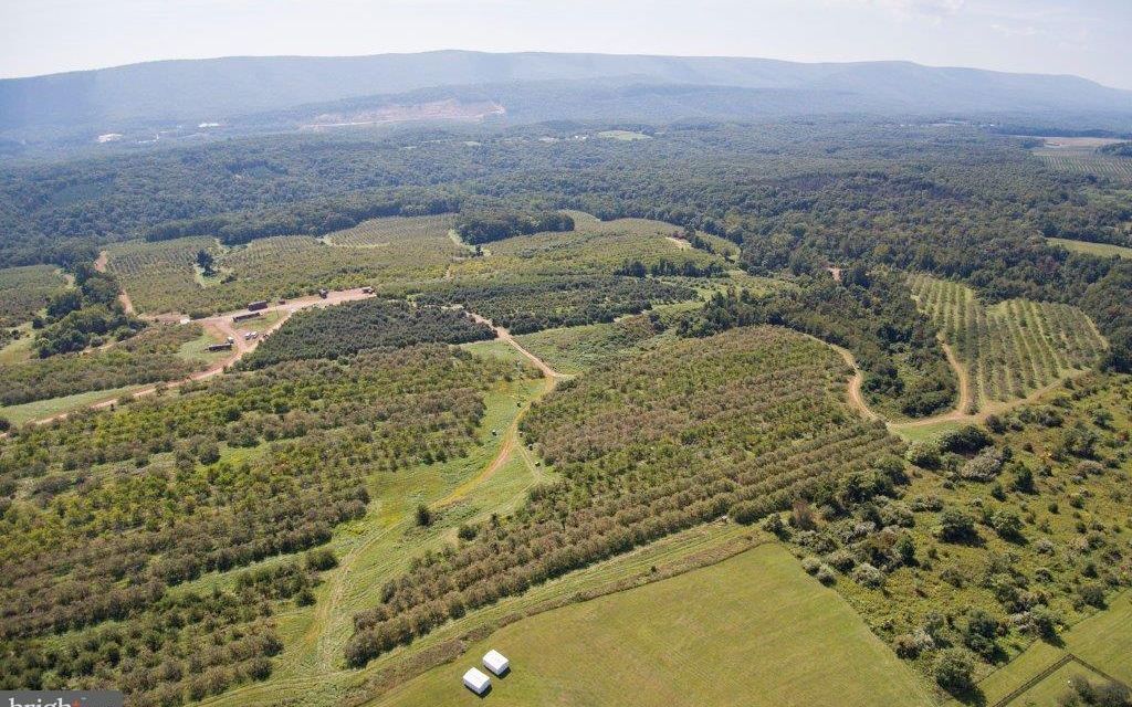 236.69 acres, Gore, VA, Property ID 6762176 Land and Farm