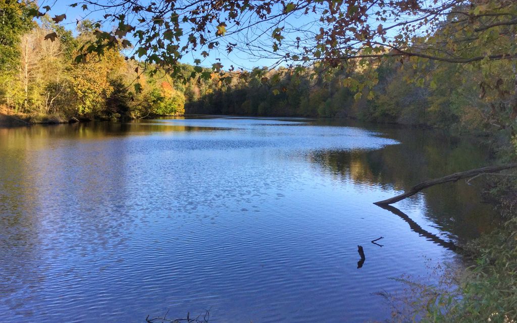 363.66 acres, Fredonia, KY, Property ID 7108527 Land and Farm