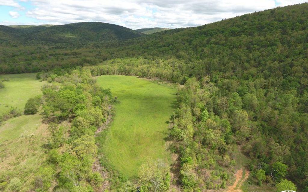 314 acres, Daisy, OK, Property ID 7135400 Land and Farm