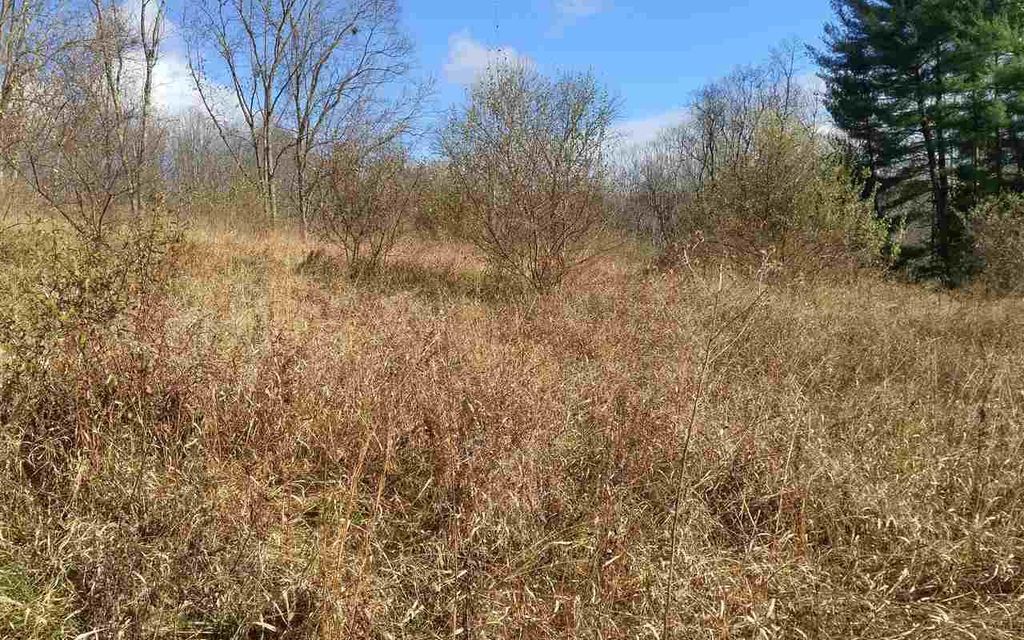 108.37 acres, Bridgeport, WV, Property ID 7136206 Land and Farm