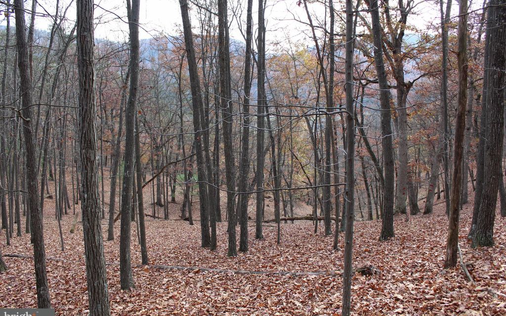 60 acres, Upper Tract, WV, Property ID 7191885 Land and Farm