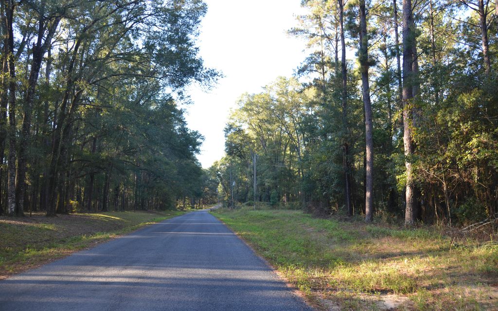 114 acres, Lloyd, FL, Property ID 7195164 Land and Farm