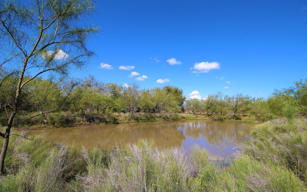 636 acres, Big Wells, TX, Property ID 7208864 Land and Farm