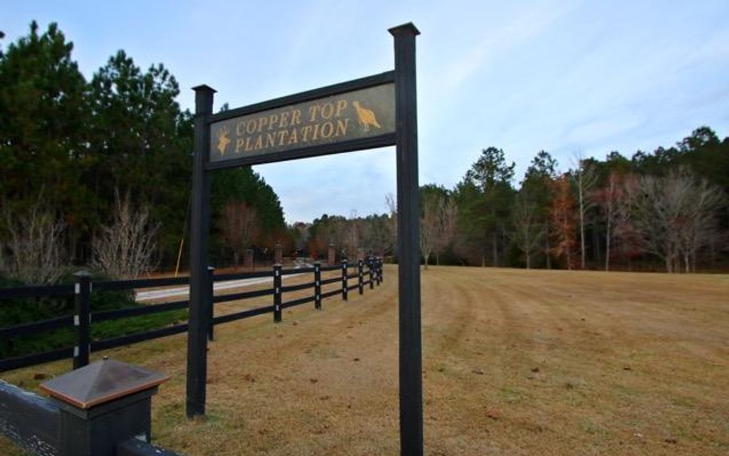 312 acres, Andrews, SC, Property ID 7235901 Land and Farm