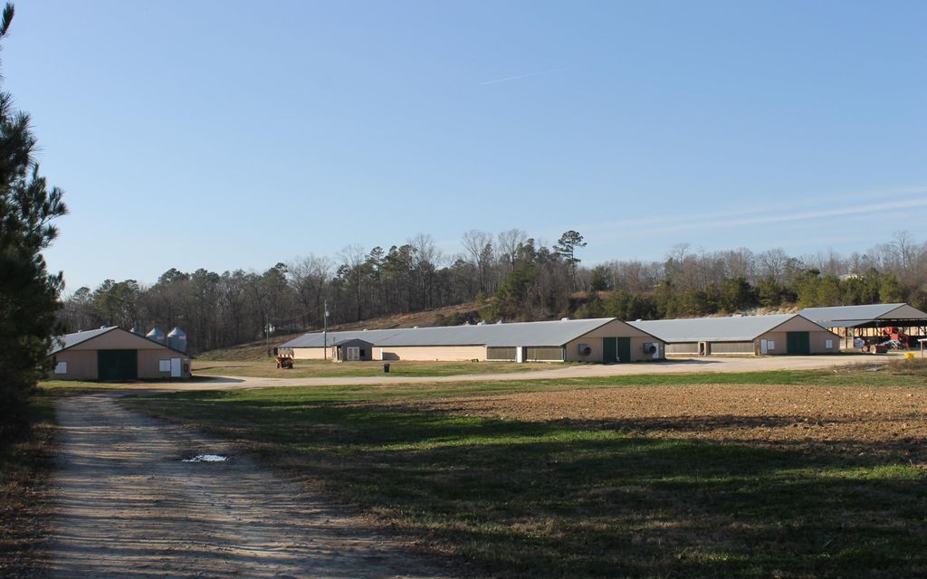 43 acres, Springville, AL, Property ID 7237917 Land and Farm