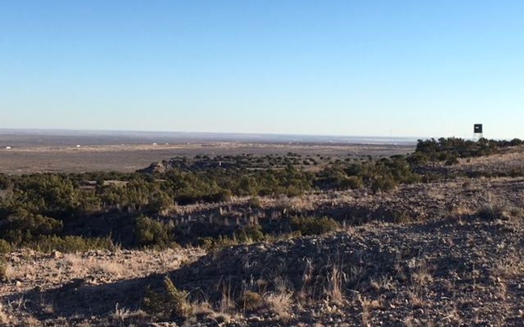1471 acres, Westbrook, TX, Property ID 7032393 Land and Farm