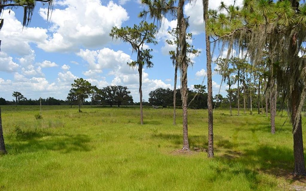 46 acres, Zolfo Springs, FL, Property ID 7397232 Land and Farm