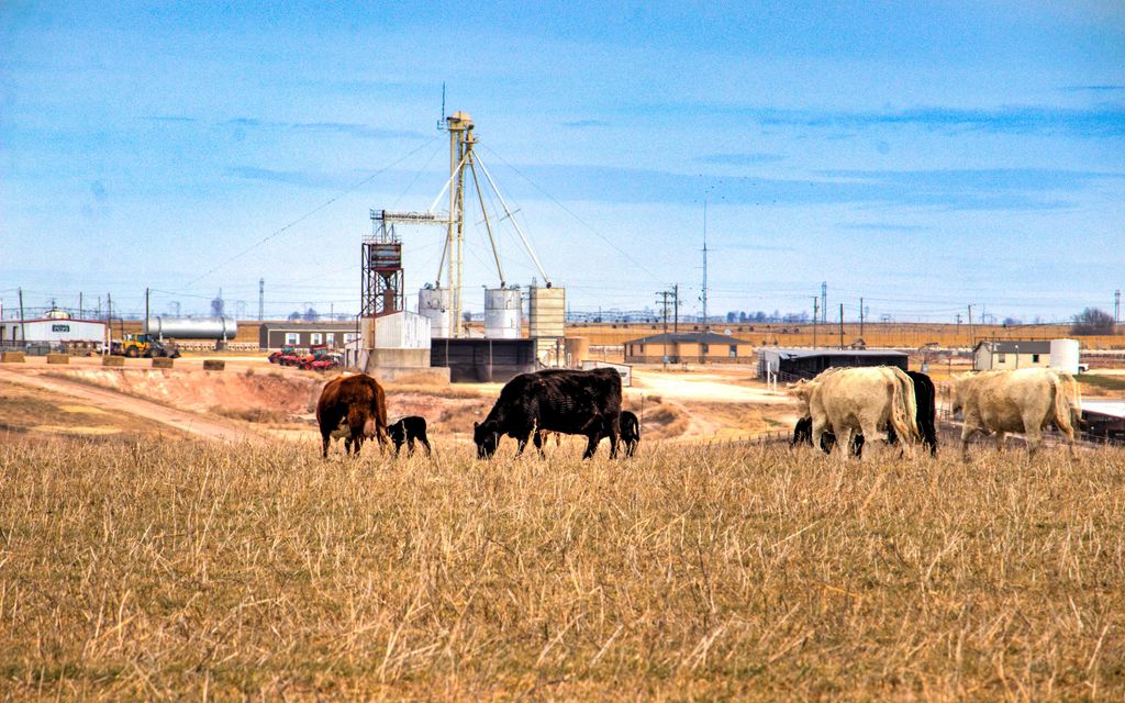 1180 acres, Dimmitt, TX, Property ID 7531359 Land and Farm