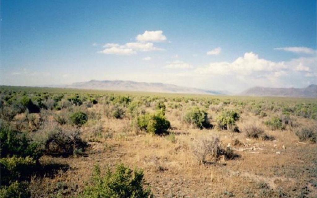 40.35 acres, Battle Mountain, NV, Property ID 7531617 Land and Farm