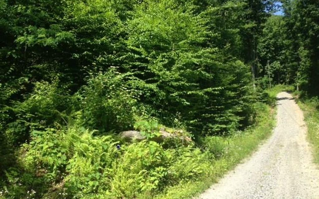 10 acres, Black Mountain, NC, Property ID 7559295 Land and Farm