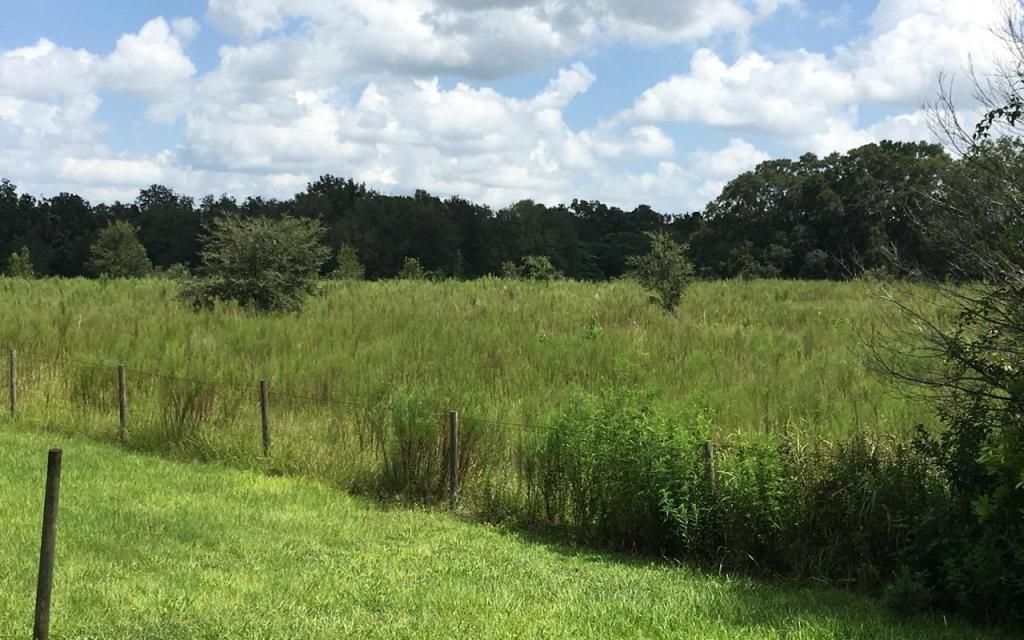 10.7 acres, Archer, FL, Property ID 7564390 Land and Farm