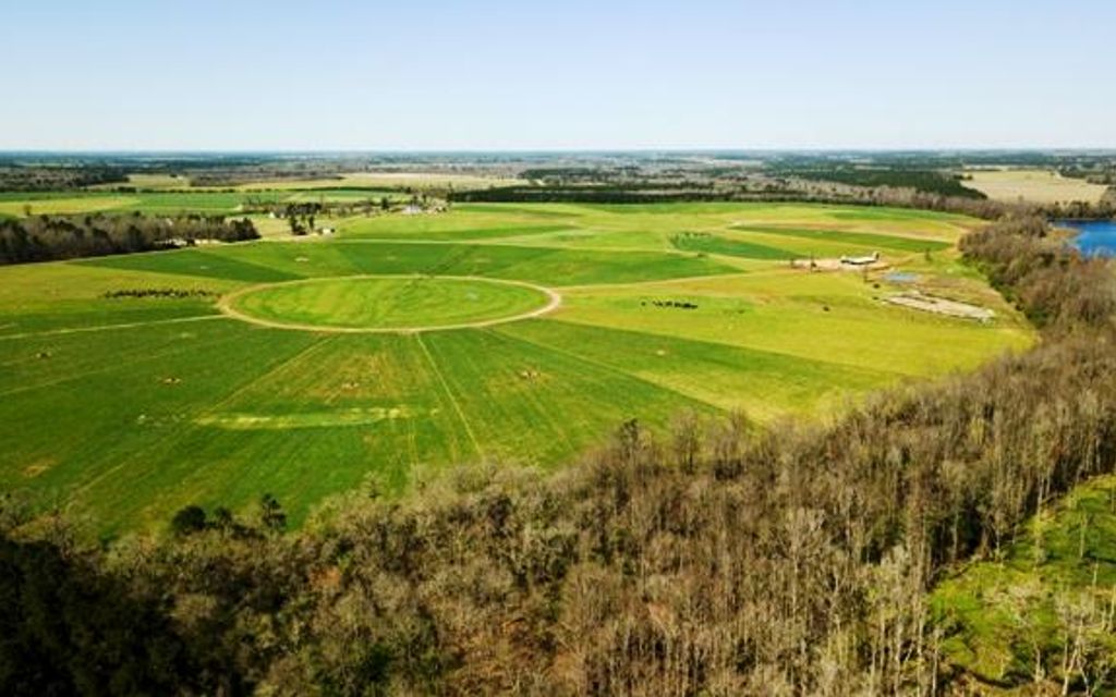 725 acres, Stapleton, GA, Property ID 7649662 Land and Farm