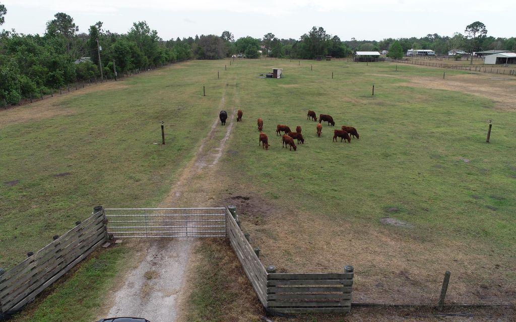 4.74 acres, Saint Cloud, FL, Property ID 7647919 Land and Farm