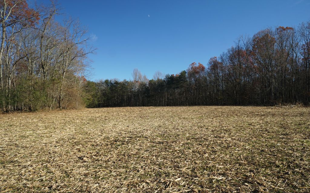 124 acres, Menlo, GA, Property ID 7655069 Land and Farm