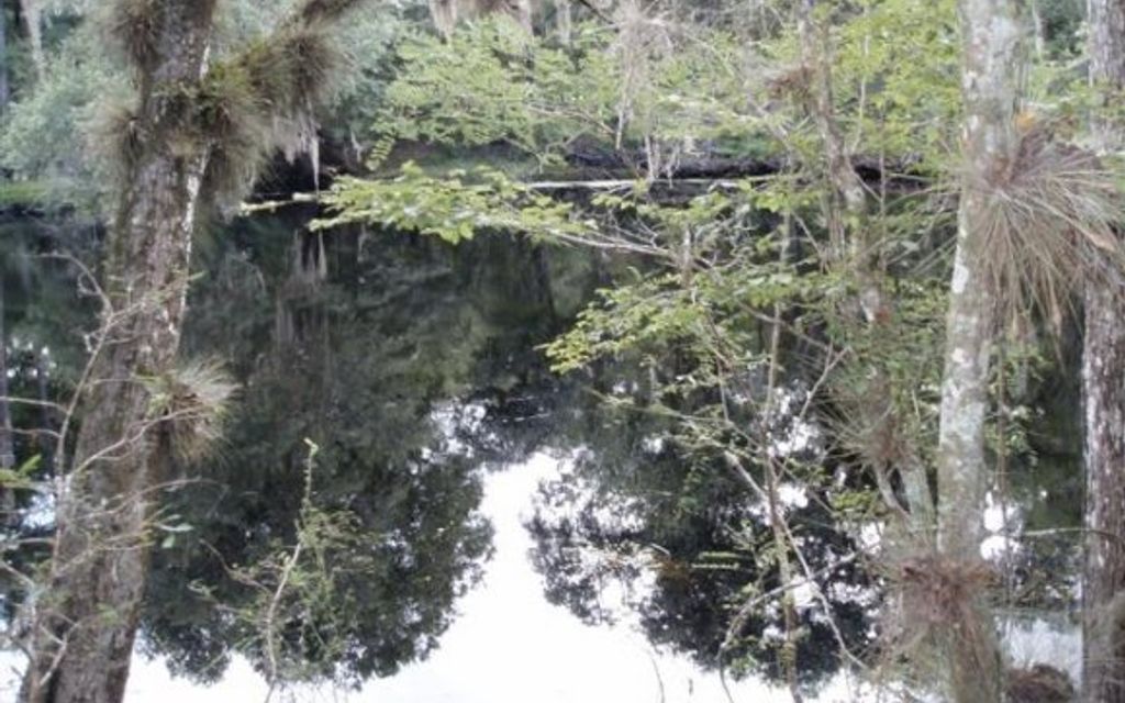 10 acres, High Springs, FL, Property ID 7696074 Land and Farm