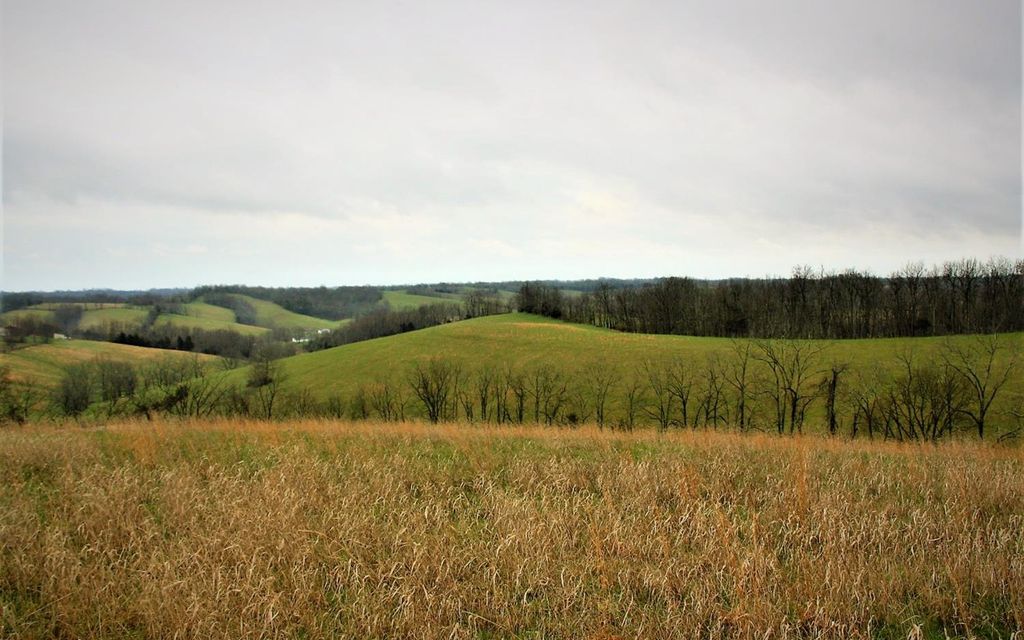 44.39 acres, Carlisle, KY, Property ID 7700671 Land and Farm