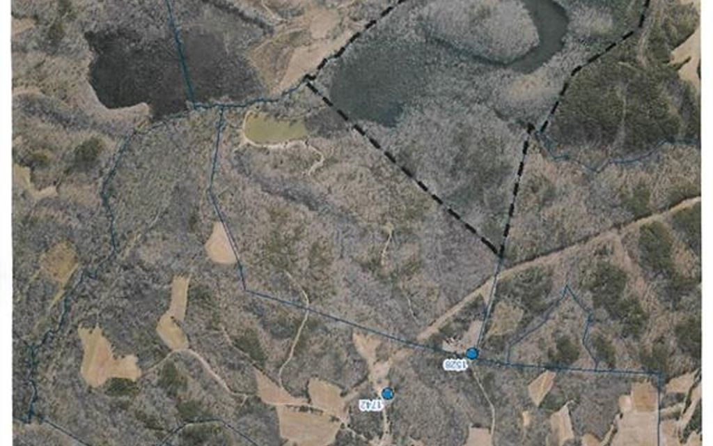 100.73 acres, Pelham, NC, Property ID 7753341 Land and Farm