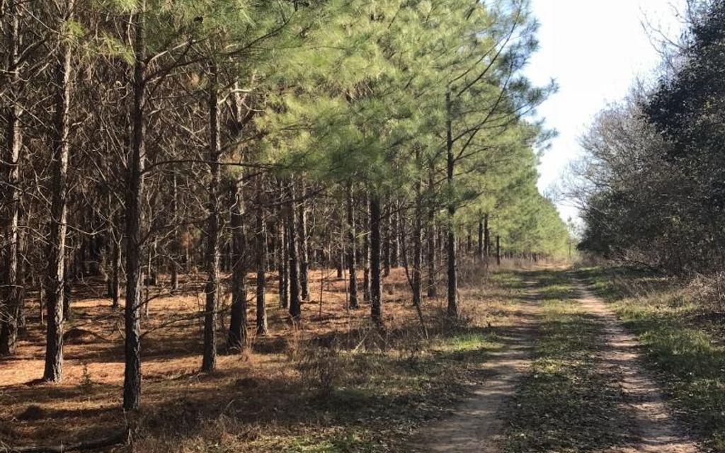 151.4 acres, Preston, GA, Property ID 7506539 Land and Farm