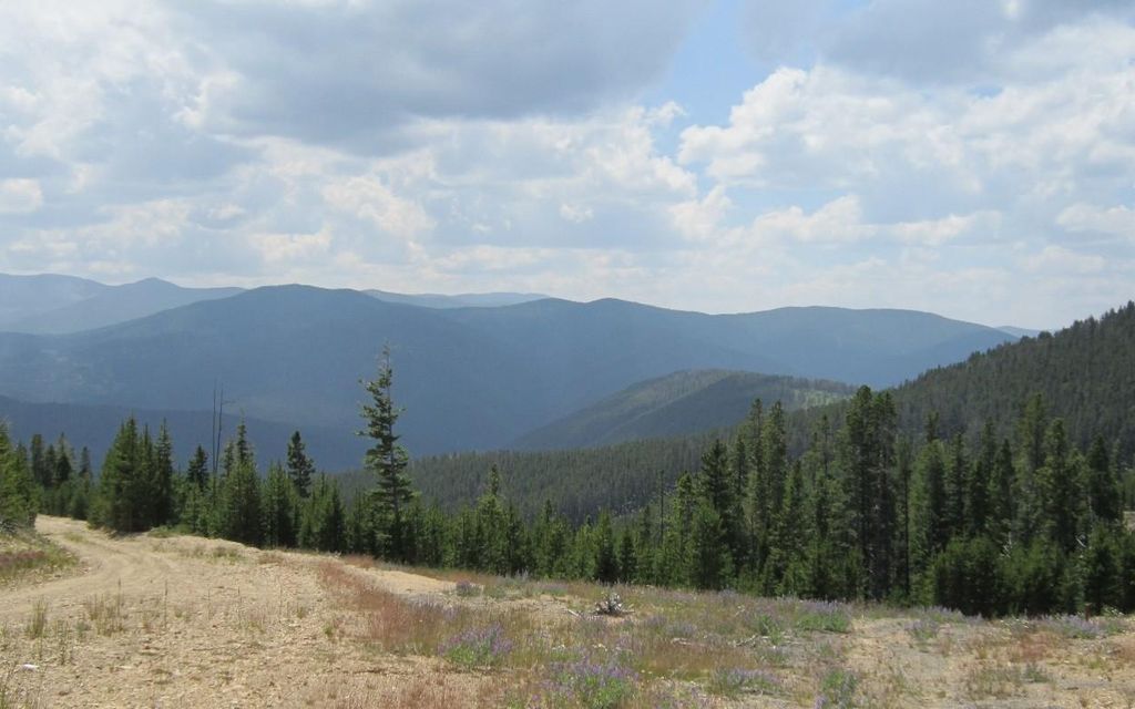 115 acres, Hughesville, MT, Property ID 7843726 Land and Farm