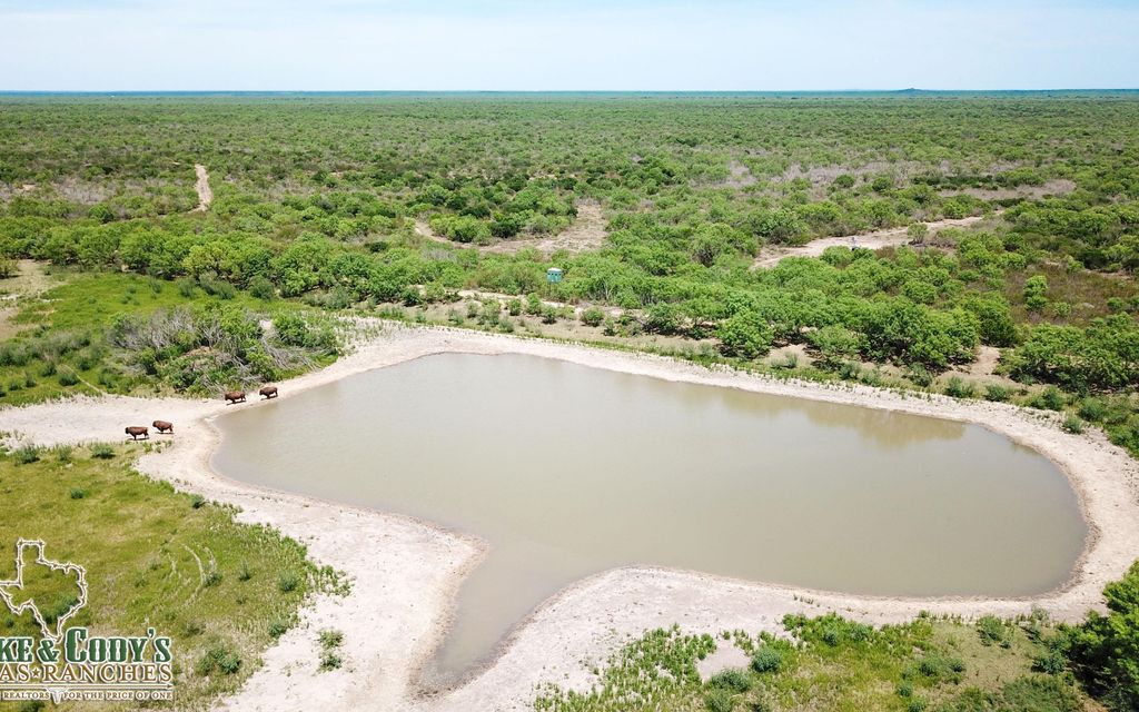 1220 acres, La Pryor, TX, Property ID 7899676 Land and Farm