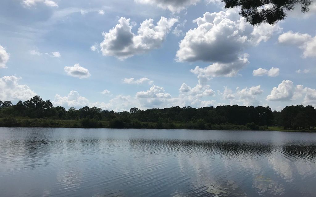 37 acres, Bay Springs, MS, Property ID 7993492 Land and Farm