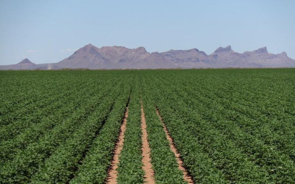 2280 acres, Sells, AZ, Property ID 8254978 Land and Farm