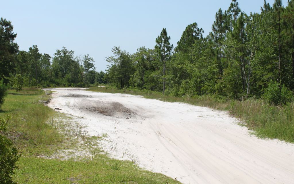 156.35 acres, Maple Hill, NC, Property ID 4692819 Land and Farm