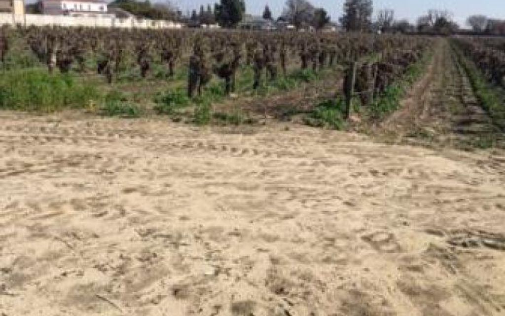 40 acres, Caruthers, CA, Property ID 8414004 Land and Farm