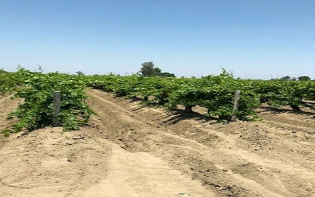 10 acres, Fresno, CA, Property ID 8414350 Land and Farm