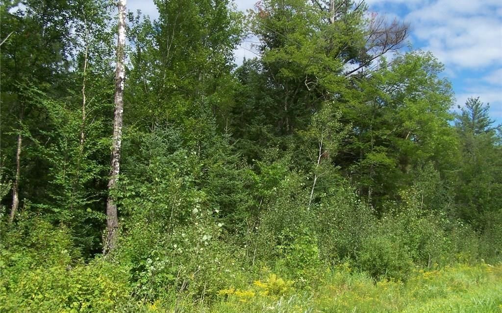 13.71 acres, Winter, WI, Property ID 8424841 Land and Farm