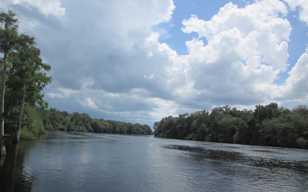 1.14 acres, Bell, FL, Property ID 8426894 Land and Farm