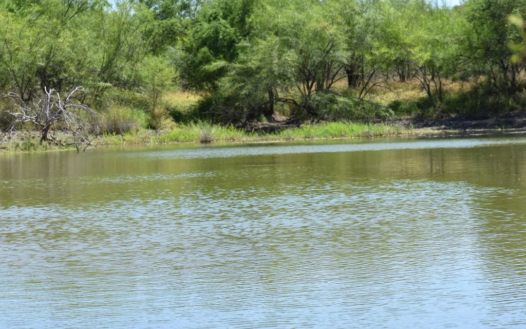 168 acres, El Sauz, TX, Property ID 8445830 Land and Farm