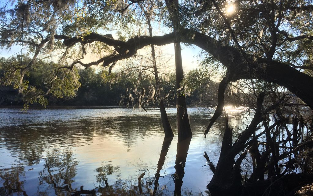 3.37 acres, Branford, FL, Property ID 8470796 Land and Farm