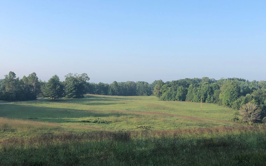 100 acres, Ararat, VA, Property ID 8484955 Land and Farm