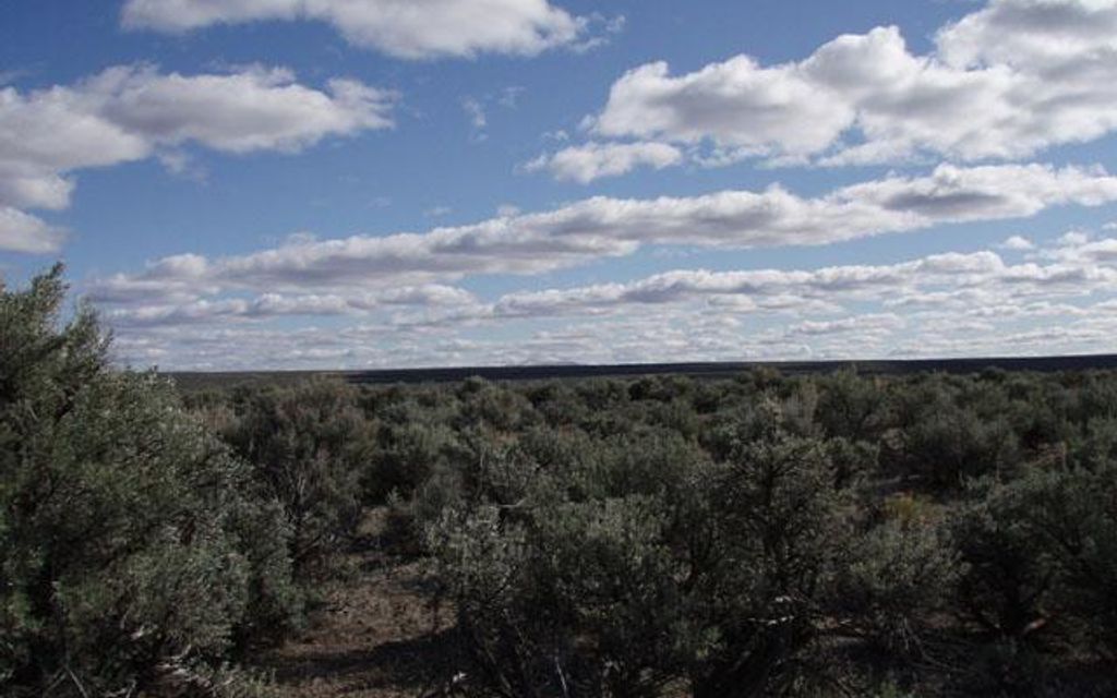 20 acres, Riley, OR, Property ID 8502304 Land and Farm