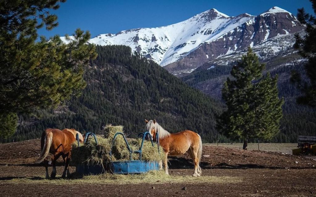 669 acres, Ovando, MT, Property ID 7354106 Land and Farm