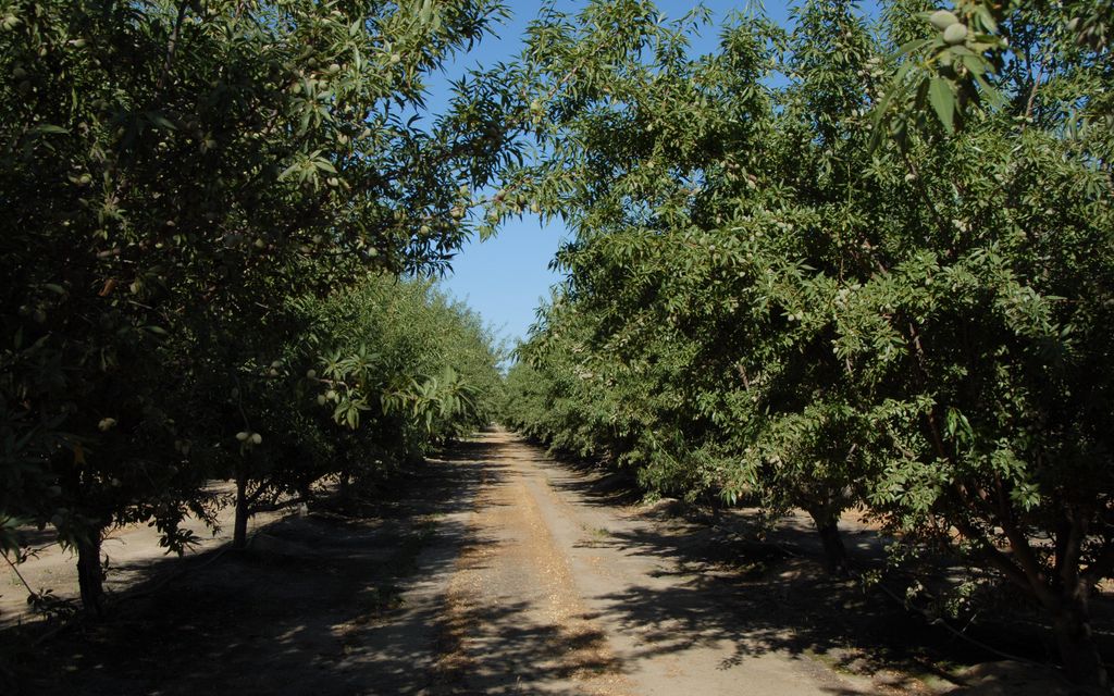 320 acres, San Joaquin, CA, Property ID 8513269 Land and Farm