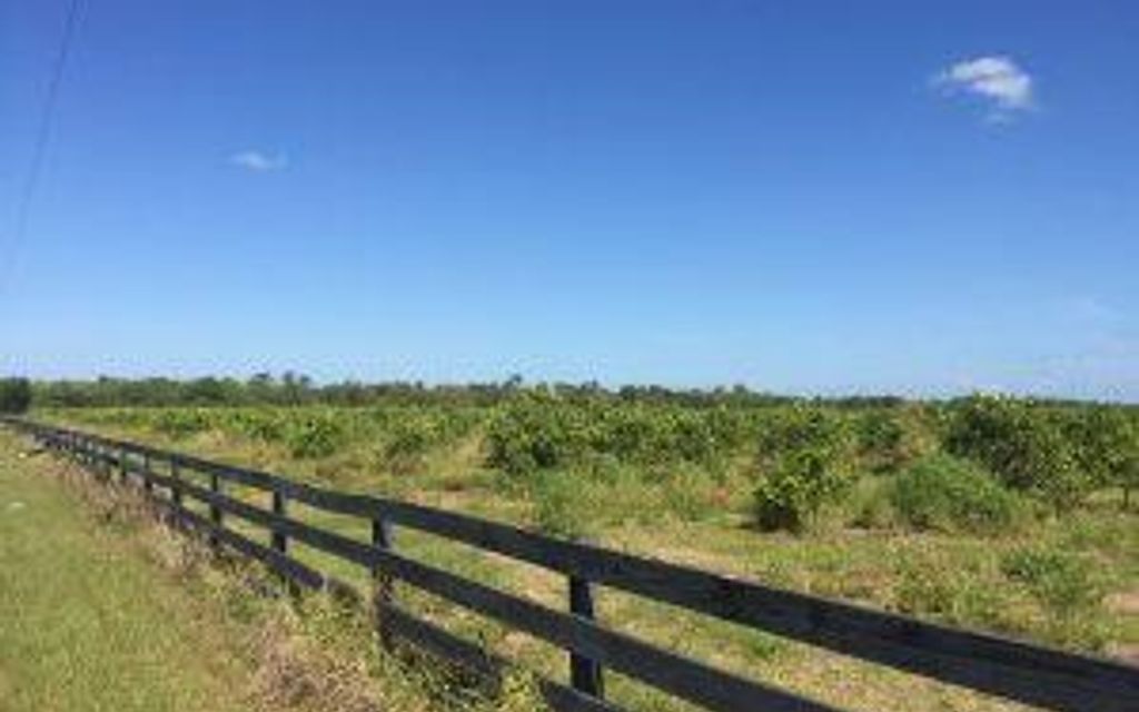 80 acres, Fort Meade, FL, Property ID 8522037 Land and Farm