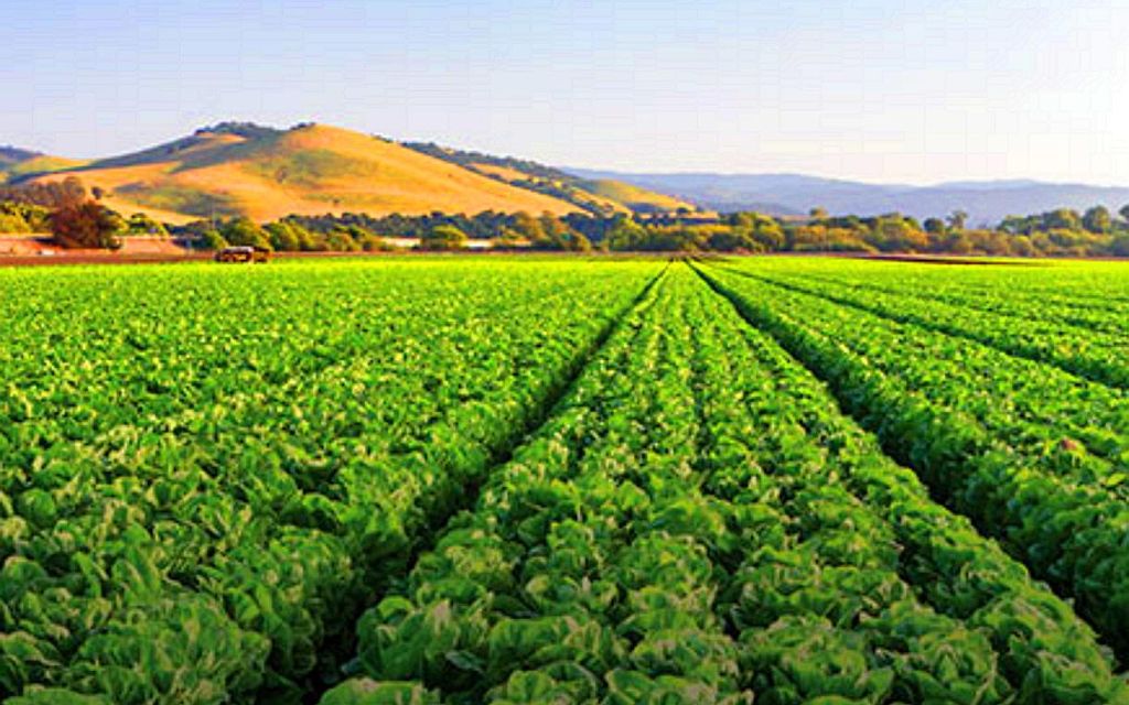 10 acres, Kettleman City, CA, Property ID 8523053 Land and Farm