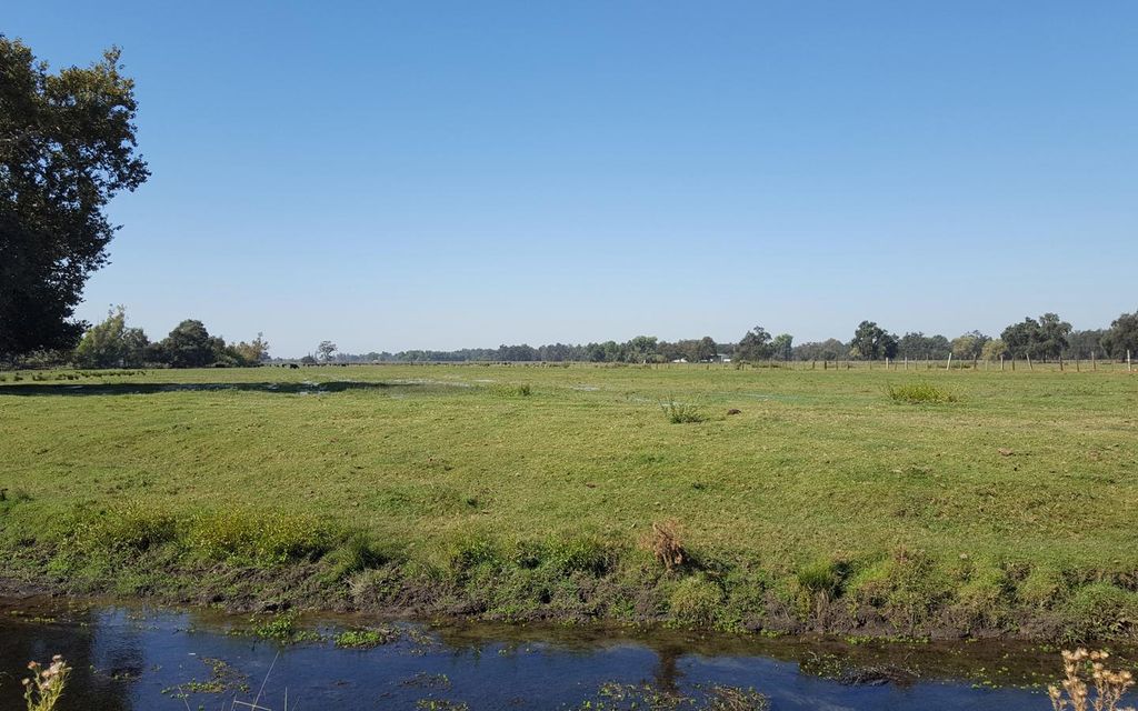 149.49 acres, Sanger, CA, Property ID 8616903 Land and Farm