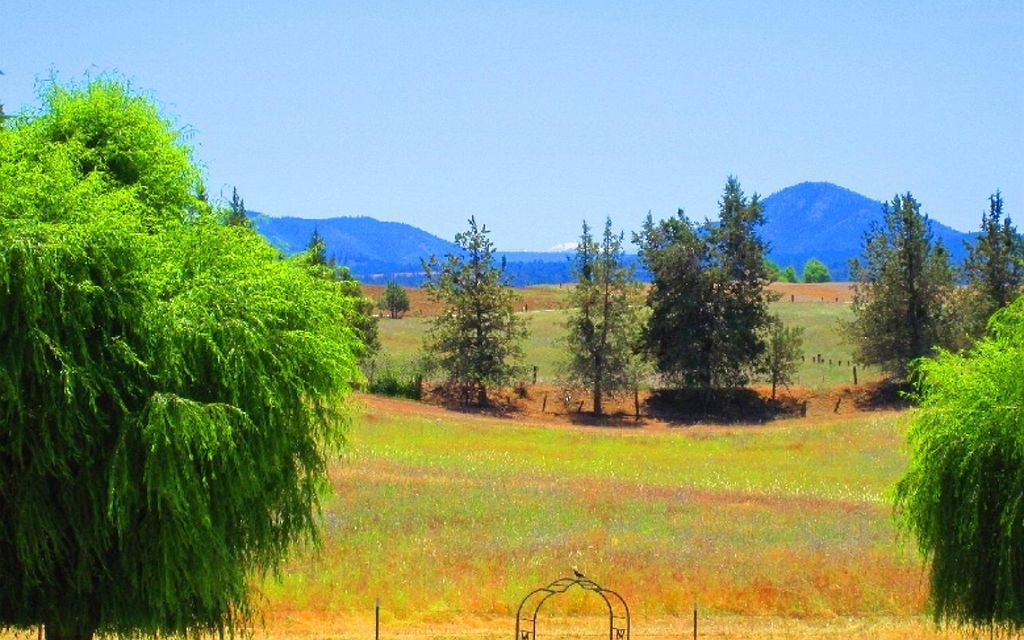 29 acres, Ravendale, CA, Property ID 8630410 Land and Farm