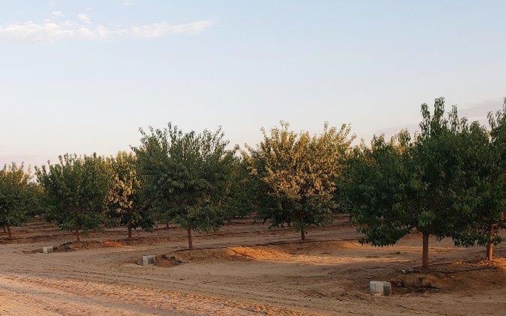 40 acres, Kerman, CA, Property ID 8643493 Land and Farm