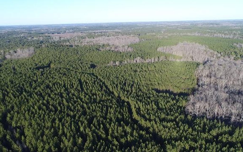 799 acres, Newnan, GA, Property ID 8660278 Land and Farm