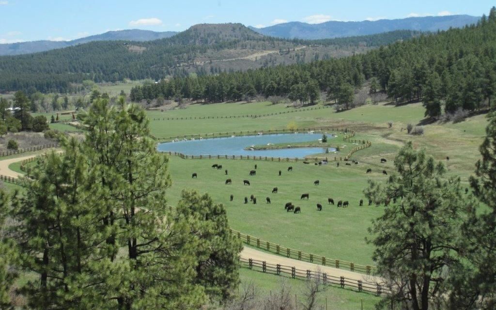 700 acres, Durango, CO, Property ID 8747020 Land and Farm