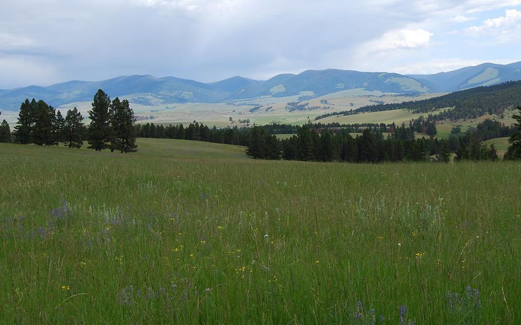 9818 acres, Avon, MT, Property ID 8467979 Land and Farm