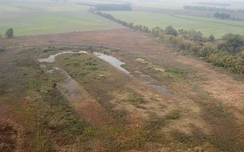 40 acres, Holly Ridge, LA, Property ID: 8753352 | Land and Farm