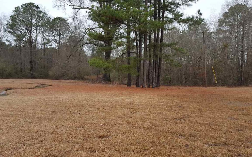 15.4 acres, Forest, MS, Property ID 8781408 Land and Farm