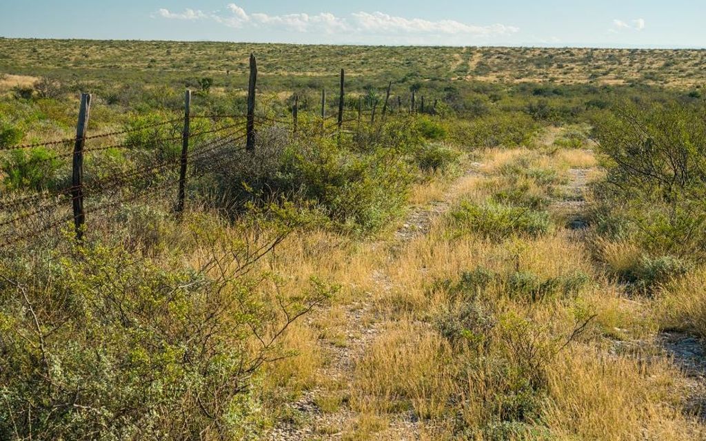 1313 acres, Dryden, TX, Property ID 8718035 Land and Farm