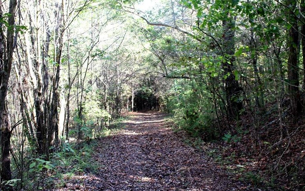 92.8 acres, Cherokee, AL, Property ID 8821284 Land and Farm