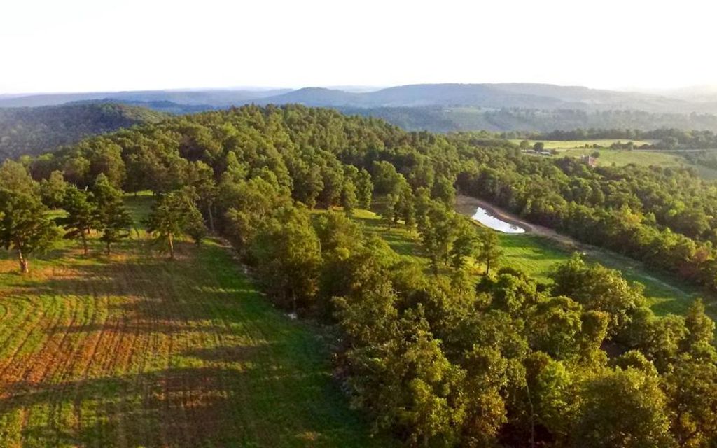 83 acres, Green Forest, AR, Property ID 8850277 Land and Farm